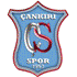 Çankırıspor Logo