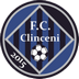 Academica Clinceni Logo
