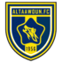 Home Team Logo