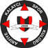 Arifiye Kalaycıspor Logo
