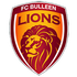 B. Lions (K)