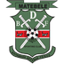 BDF XI Logo