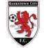 Bankstown City Lions Logo