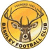 Bashley Logo