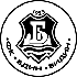 Bdin Vidin Logo