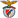 Benfica Castelo Branco