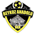 Beykoz Anadolu Logo