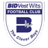 Bidvest Wits Logo