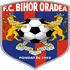 Bihor Oradea Logo
