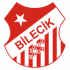 Bilecik 1969 Logo