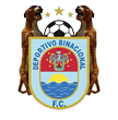 Binacional Logo