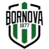 Bornova 1877 Logo