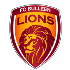 Home Team Logo