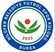 Bursa Nilüfer FK Logo