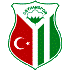 Ceyhanspor Logo