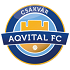 Csakvari TK Logo