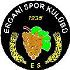 Erganispor Logo