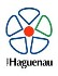 FCSR Haguenau Logo