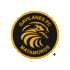 Gavilanes FC Matamoros