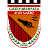 Gaziosmanpaşa Logo