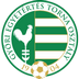 Home Team Logo