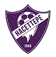 Hacettepe Spor Logo