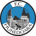 Hunedoara Logo