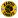 Kaizer Chiefs