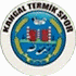 Kangal Termikspor
