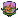 Kasetsart