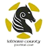 Kildare County Logo