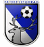 Letohrad Logo