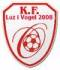 Luzi 2008 Logo