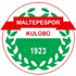 Maltepespor Logo
