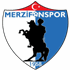 Merzifonspor Logo
