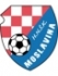 Moslavina Logo