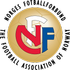 Norveç U19 Logo