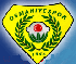 Osmaniyespor Logo