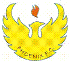 Phoenix FC Dublin Logo