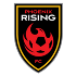 Phoenix Rising Logo
