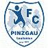 Pinzgau Saalfelden Logo