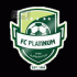 Platinum Logo