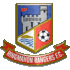 Ringmahon