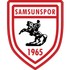 Samsunspor U19 Logo