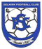 Selkirk Logo