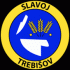 Slavoj Trebisov