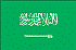 Suudi Arabistan U20 Logo