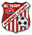 Team Wiener Linien Logo