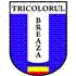 Tricolorul Breaza Logo