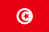 Tunus U20 Logo